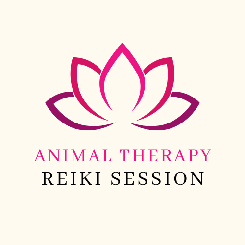 Small Animal Therapy Reiki Session