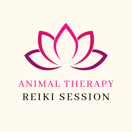Large Animal Reiki Session